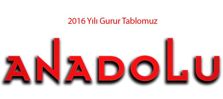 2016 Yılı Anadolu Güzel Sanatlarda Üniv