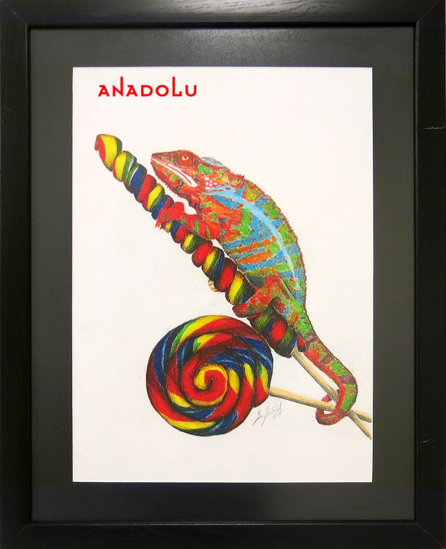 Bukalemun Çizimleri