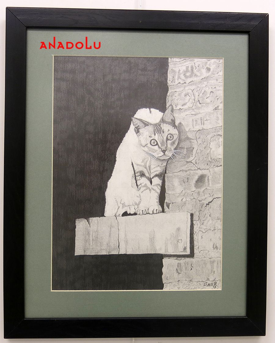 Anadolu Çizim Dersleri