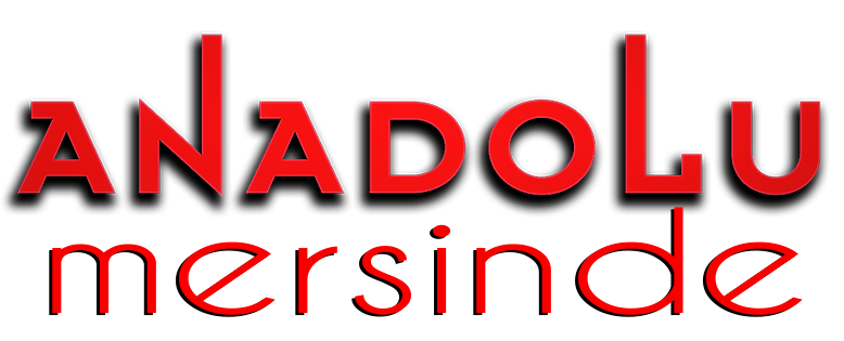 Anadolu Güzel Sanat Eğitim Kurumları Mersin Şubesi