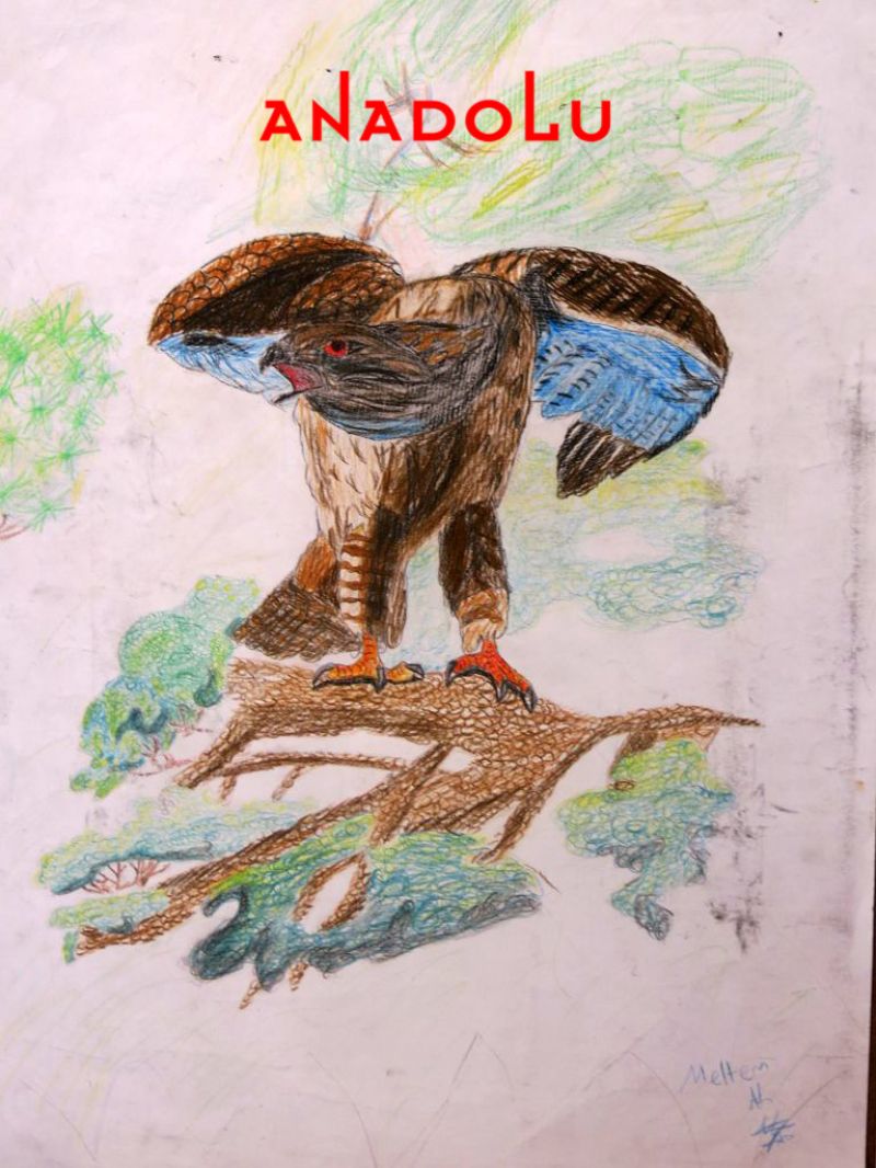 Çocuklara Yönelik Özel Resim Eğitimleri