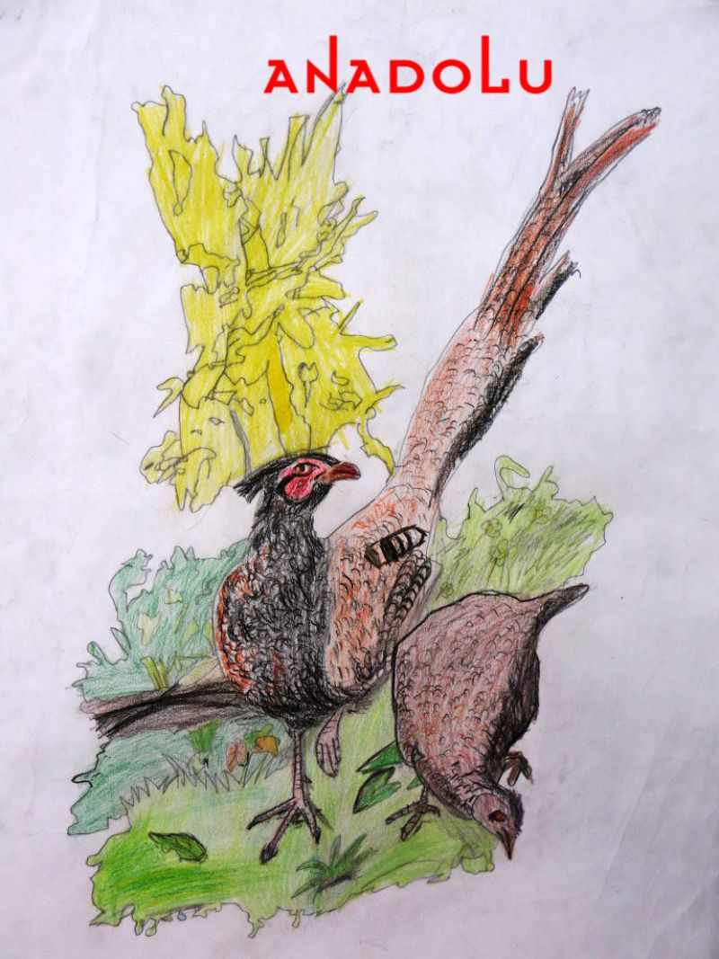 Çocuklar Yönelik Resim Kursu