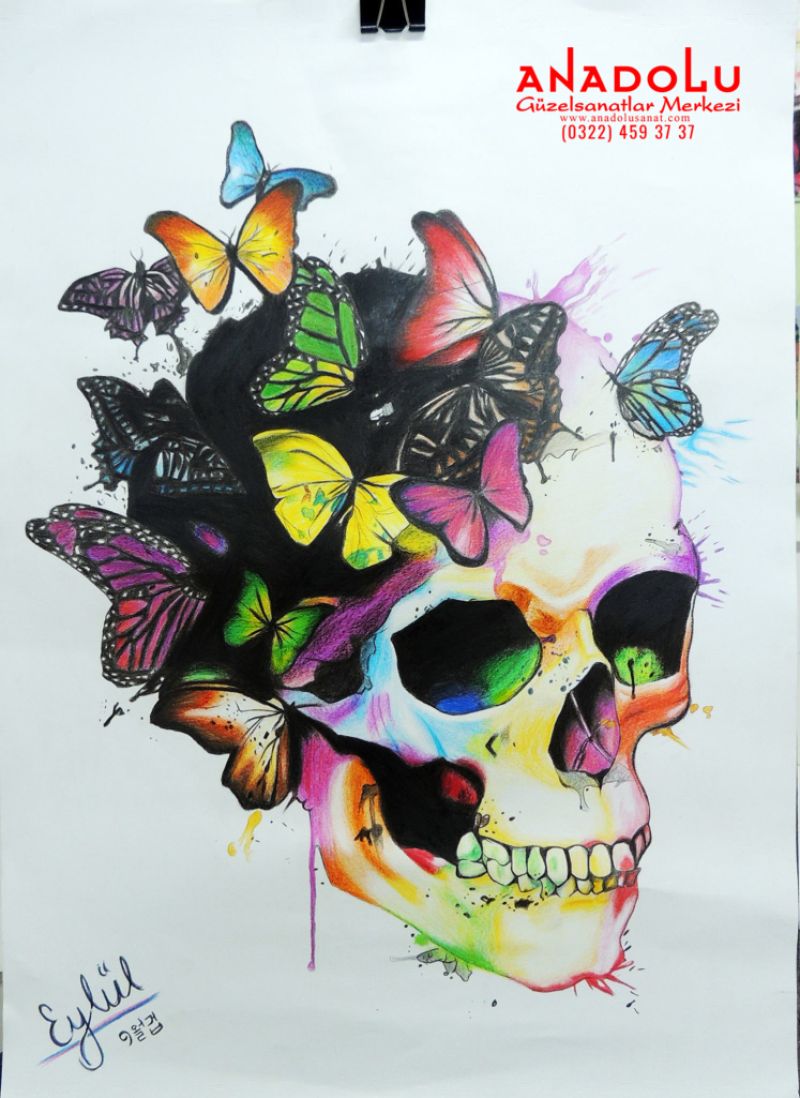 Kuru Boya Tekniği İle Yapılan Kuru Kafa Çizimleri